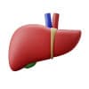 Hepatitis